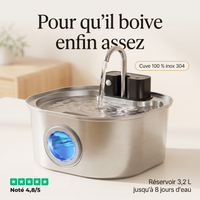 Fontaine à eau pour chat sans fil — inox 304, capteur de mouvement, 3,2 L