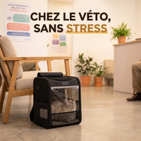 Chez le véto, sans stress