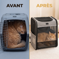 Avant / après