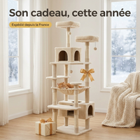Arbre à chat, idée cadeau d'hiver