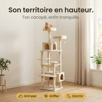 Son territoire en hauteur, ton canapé enfin tranquille