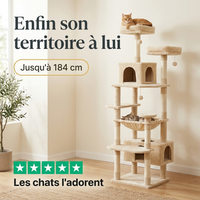 Arbre à chat XL jusqu'à 184 cm, les chats l'adorent